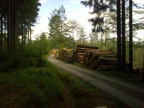 Šumava 2009-09-05 4