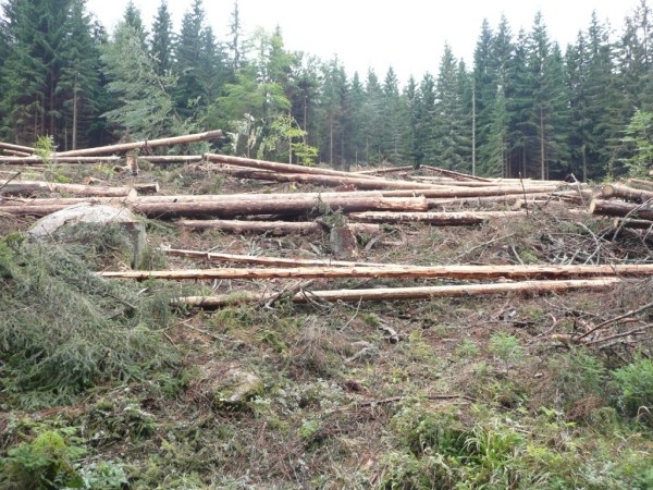 Šumava 2009-09-05 6