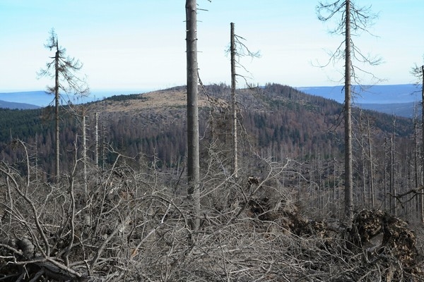 Šumava 2010-03-11 1