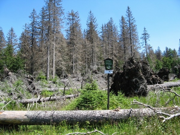 Šumava 2010-08-05 1