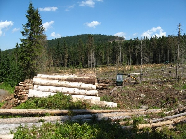 Šumava 2010-08-05 3