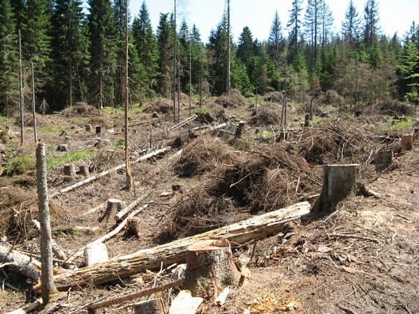 Šumava 2010-08-05 5