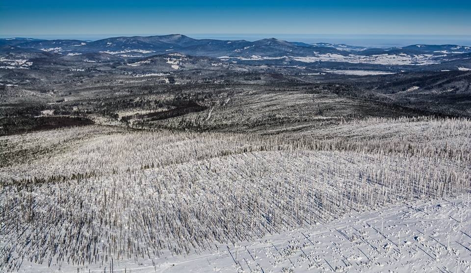 Šumava 2017-01-25 5