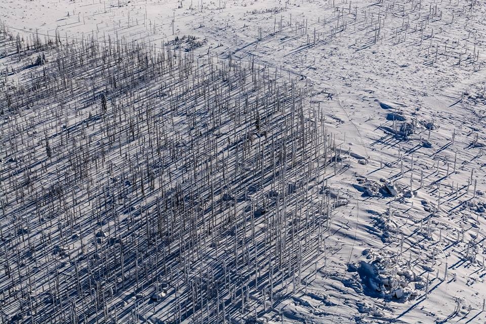 Šumava 2017-01-25 7