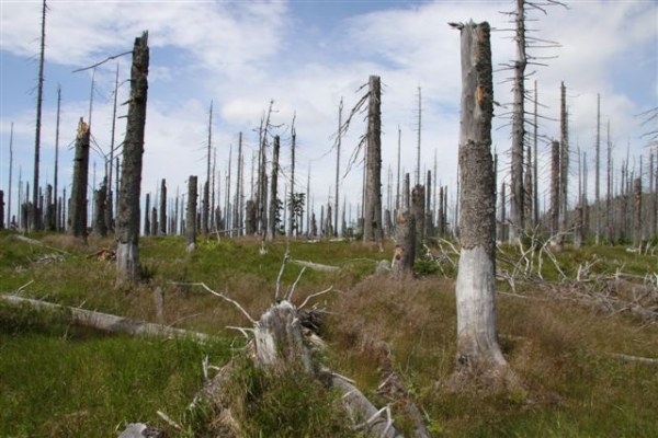 Šumava 2009-08-01 3