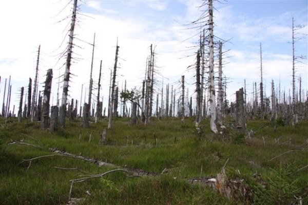 Šumava 2009-08-01 9