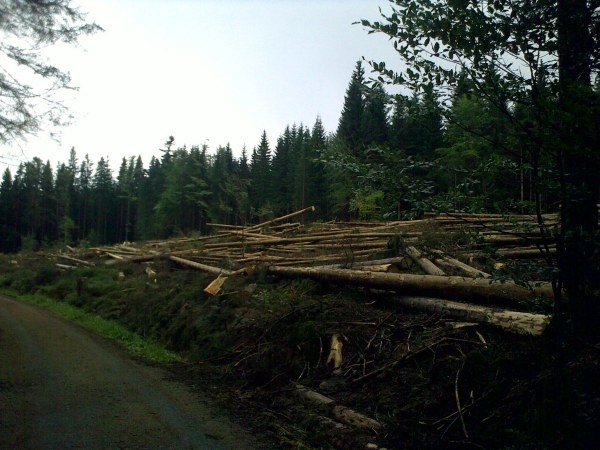 Šumava 2009-09-05 2