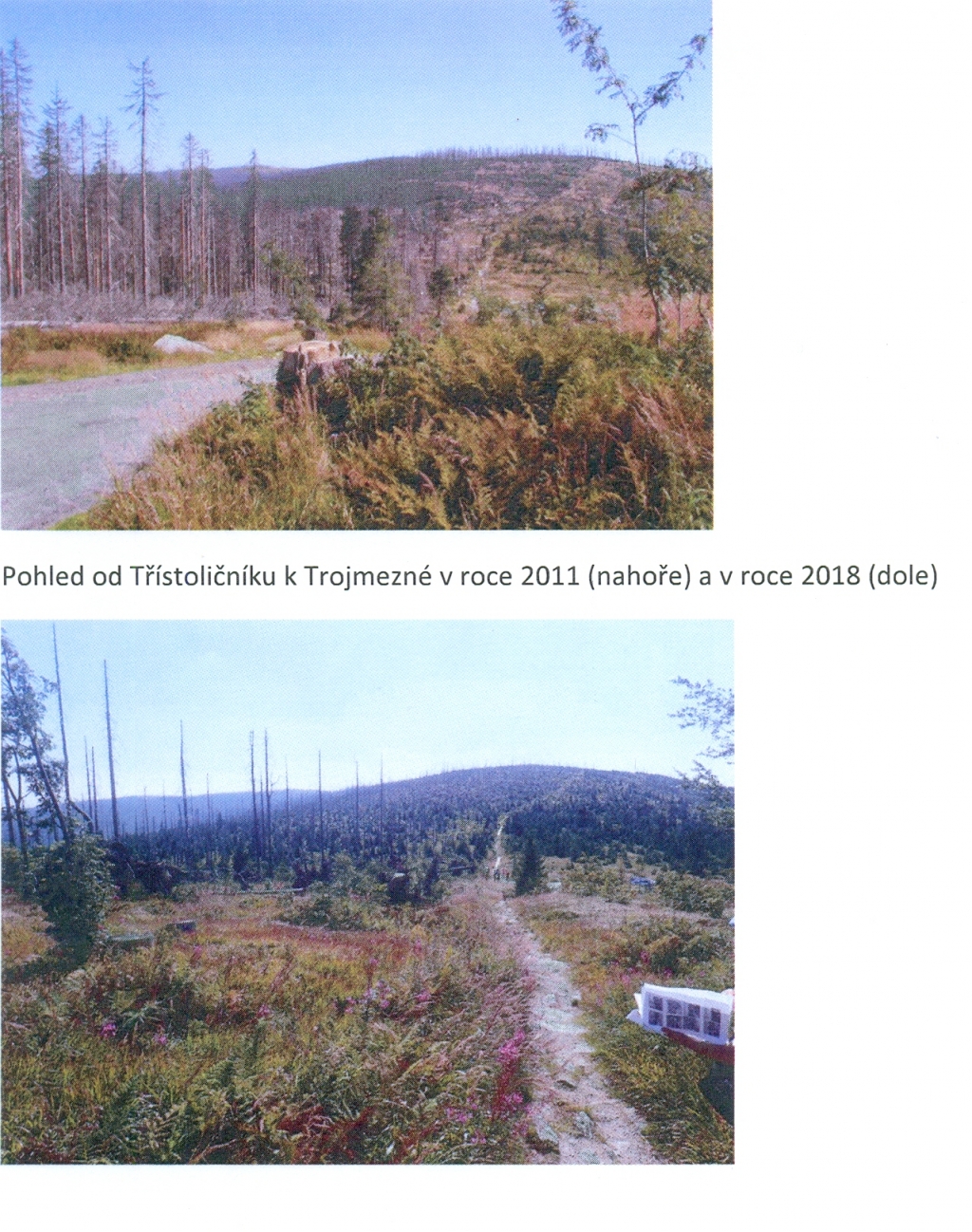Šumava 2019-04-02 1