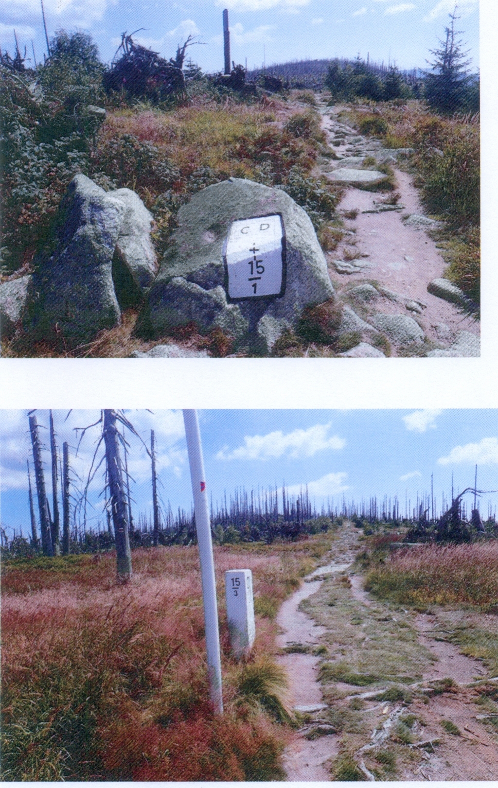 Šumava 2019-04-02 3