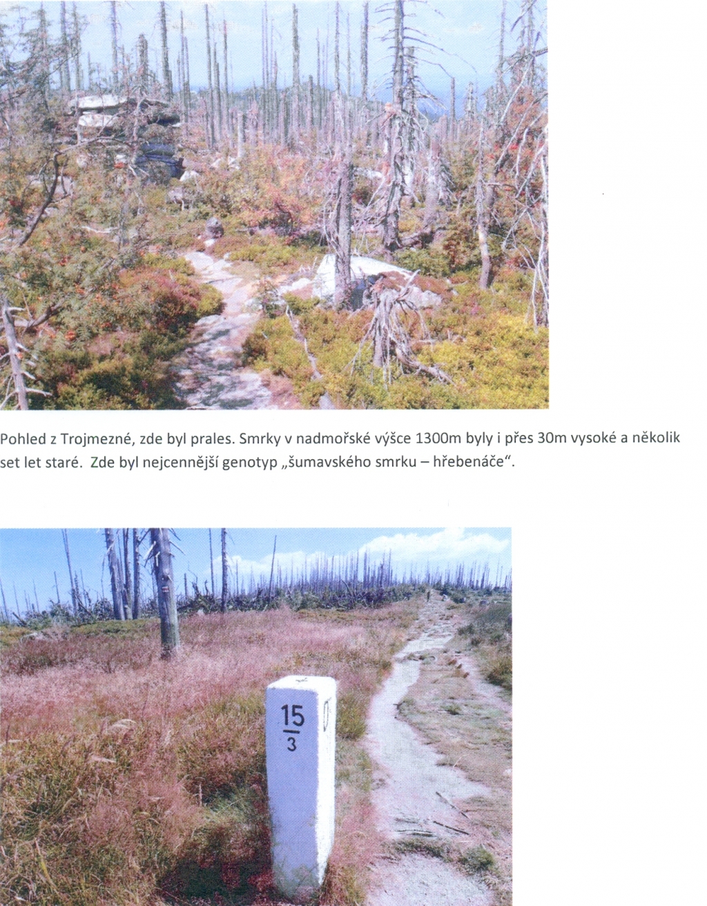 Šumava 2019-04-02 5