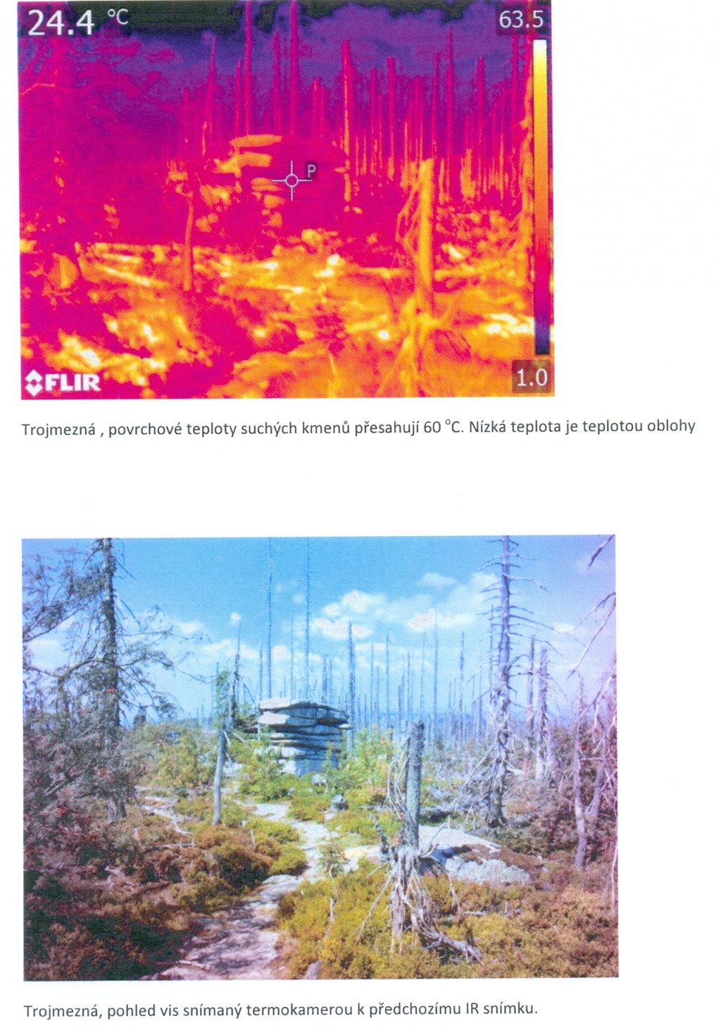 Šumava 2019-04-02 8
