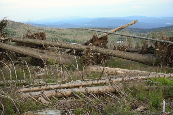 Šumava 2010-03-11 1