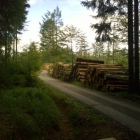Šumava 2009-09-05/4
