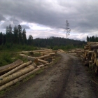 Šumava 2009-09-05/5