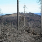 Šumava 2010-03-11/1