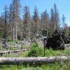 Šumava 2010-08-05/1