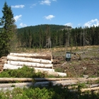 Šumava 2010-08-05/3