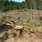 Šumava 2010-08-05/4