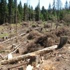 Šumava 2010-08-05/5