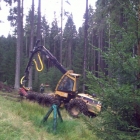 Šumava 2009-09-05/1