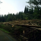 Šumava 2009-09-05/2